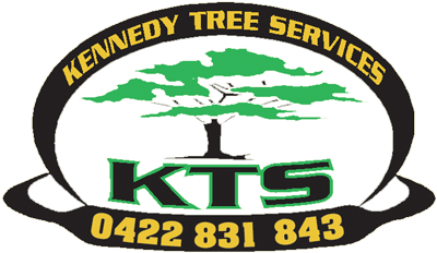 Kennedy Tree Service - Ipswich